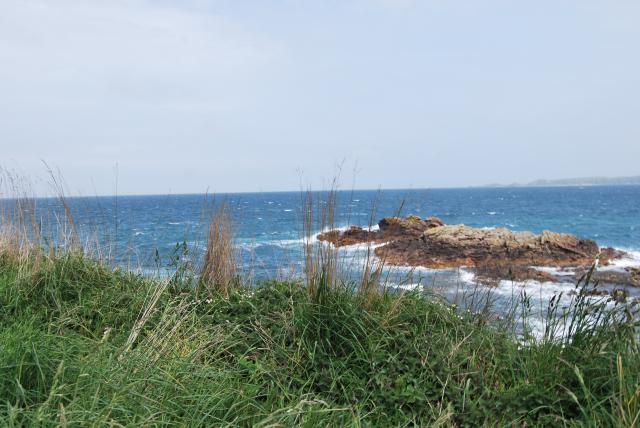DSC_2486.JPG